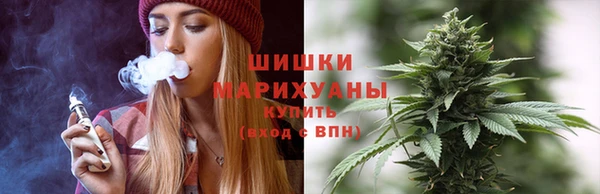 дживик Липки