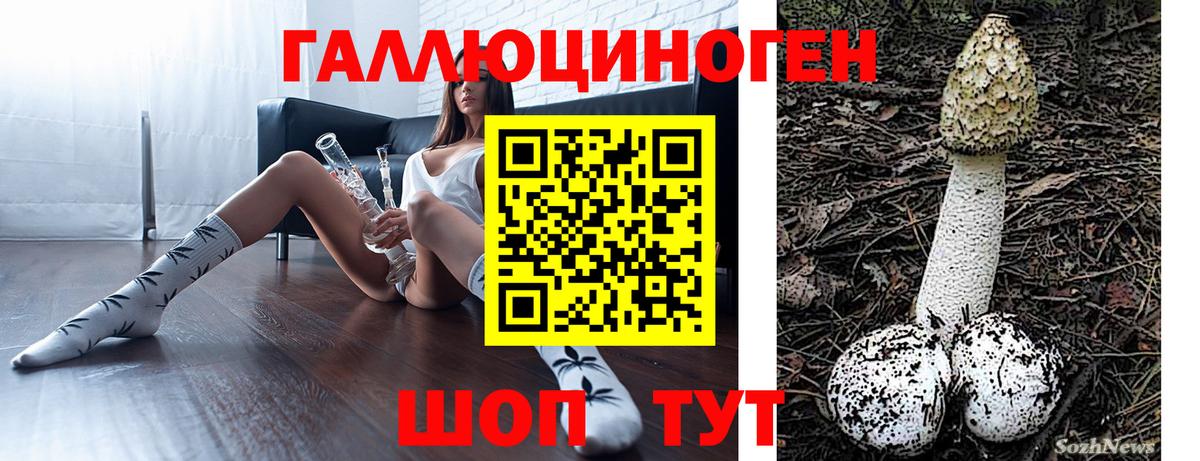 Галлюциногенные грибы ЛСД Туапсе