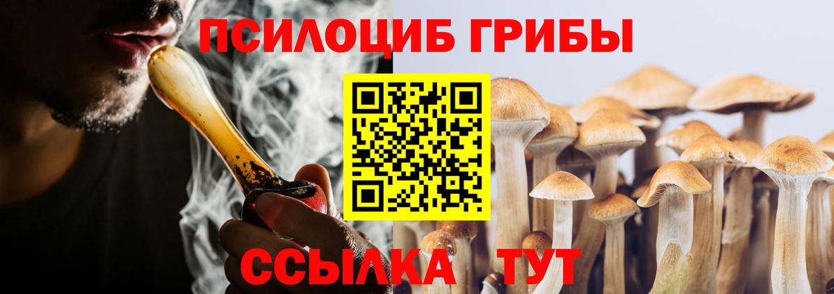 Туапсе  наркошоп  Галлюциногенные грибы мицелий  Вход с VPN  Галлюциногенные грибы Psilocybine cubensis 